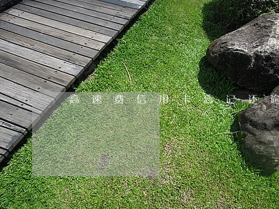 高速费信用卡忘记还逾期6天