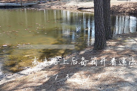 高速路上后备箱开着违法吗/2023020313019 高速路上后备箱开着违法吗/2023020313019