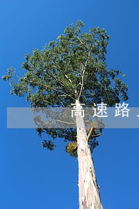 高速路上违法停车被判十年