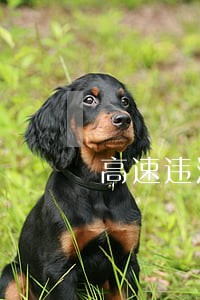 高速违法变道 高速违法变道