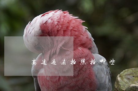 高速违法拍照拍哪些 高速违法拍照拍哪些