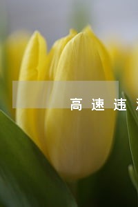 高速违法答题 高速违法答题