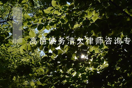 高邑债务清欠律师咨询专线 高邑债务清欠律师咨询专线