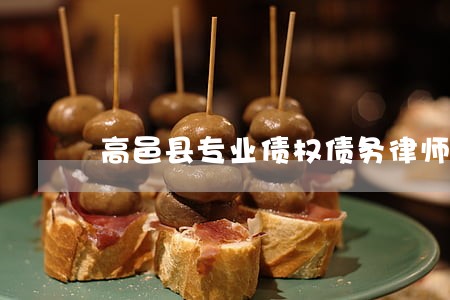 高邑县专业债权债务律师 高邑县专业债权债务律师