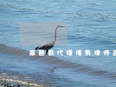 高邑县代理债务律师咨询网站 高邑县代理债务律师咨询网站