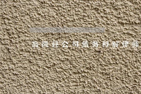 高邑县公司债务和解律师找哪个 高邑县公司债务和解律师找哪个