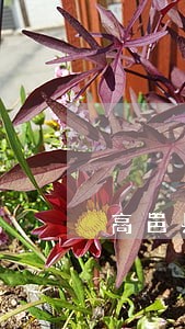 高邑县口碑好的债权债务律师找谁