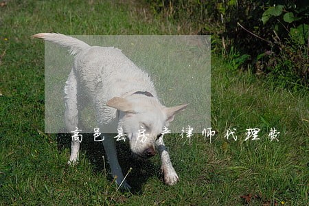 高邑县房产律师代理费 高邑县房产律师代理费