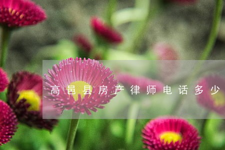 高邑县房产律师电话多少 高邑县房产律师电话多少