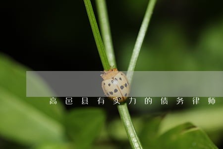 高邑县有实力的债务律师 高邑县有实力的债务律师