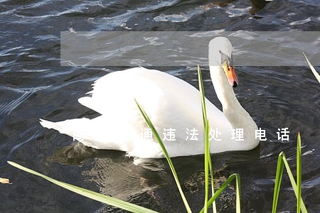 高邮交通违法处理电话 高邮交通违法处理电话