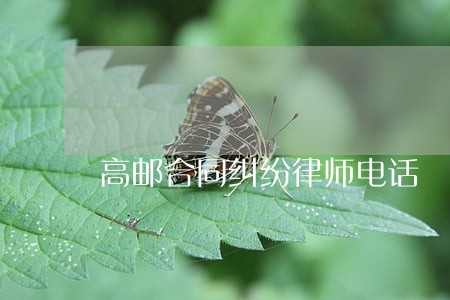 高邮合同纠纷律师电话 高邮合同纠纷律师电话