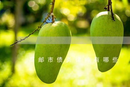 高邮市债务律师有哪些 高邮市债务律师有哪些