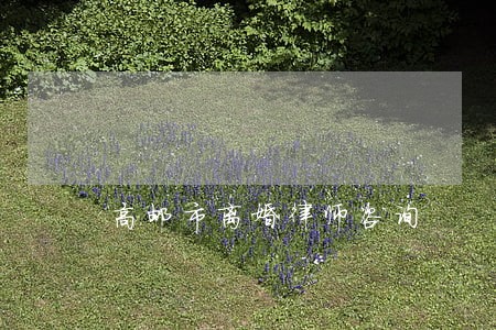 高邮市离婚律师咨询 高邮市离婚律师咨询