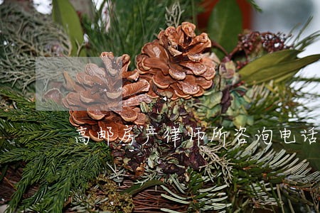 高邮房产律师所咨询电话 高邮房产律师所咨询电话