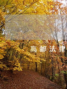高邮法律咨询价格 高邮法律咨询价格