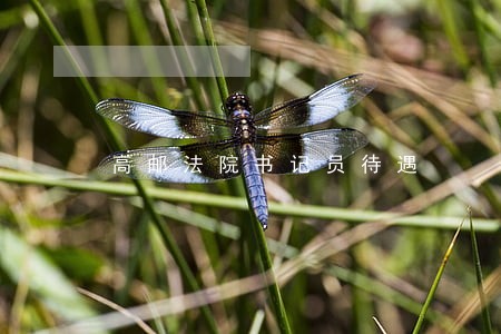 高邮法院书记员待遇 高邮法院书记员待遇