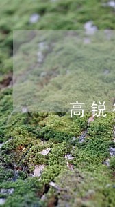 高锐律师事务所 高锐律师事务所