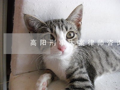 高阳刑事大案律师咨询
