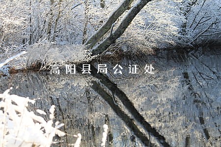 高阳县局公证处 高阳县局公证处
