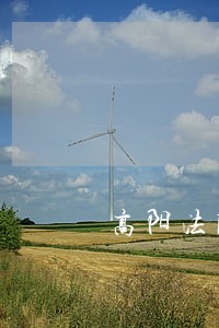 高阳法院发布悬赏公告 高阳法院发布悬赏公告