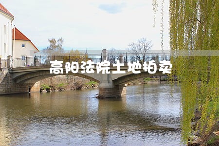 高阳法院土地拍卖