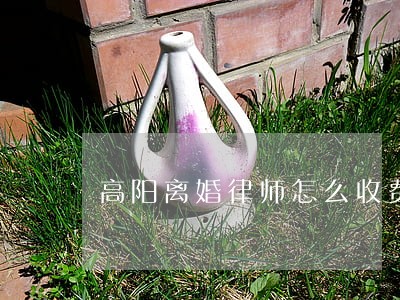 高阳离婚律师怎么收费