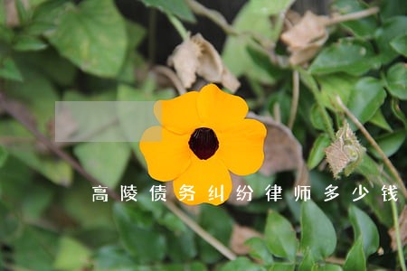 高陵债务纠纷律师多少钱 高陵债务纠纷律师多少钱