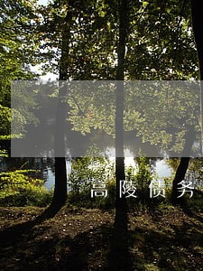 高陵债务纠纷律师联系方式 高陵债务纠纷律师联系方式