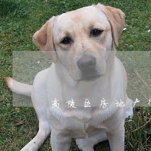 高陵区房地产律师收费 高陵区房地产律师收费