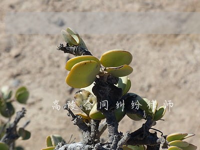 高陵合同纠纷律师 高陵合同纠纷律师