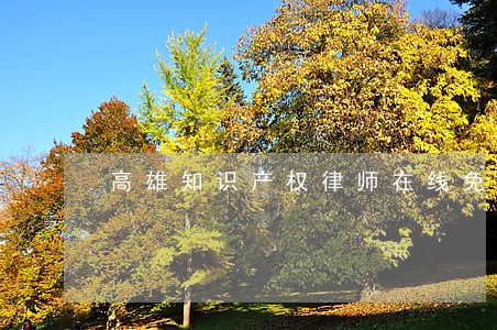 高雄知识产权律师在线免费咨询