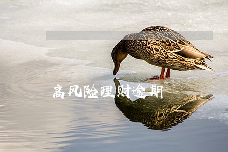 高风险理财逾期 高风险理财逾期