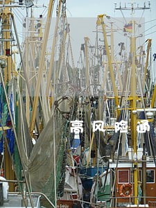 高风险通知48小时逾期 高风险通知48小时逾期