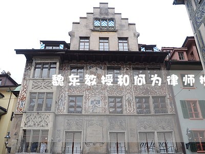 魏东教授和何为律师担任辩护人 魏东教授和何为律师担任辩护人