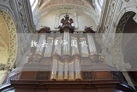 魏县律师团队