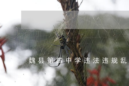 魏县第四中学违法违规乱收费