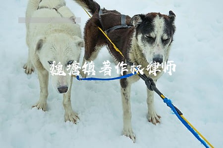 魏塘镇著作权律师 魏塘镇著作权律师