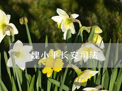 魏小平长安司法 魏小平长安司法
