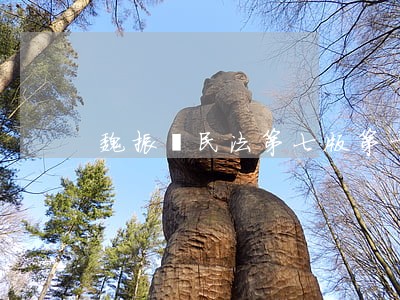 魏振瀛民法第七版第十七章 魏振瀛民法第七版第十七章