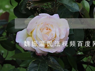魏振瀛民法视频百度网盘 魏振瀛民法视频百度网盘