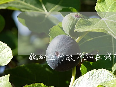 魏都区行政诉讼在线律师 魏都区行政诉讼在线律师