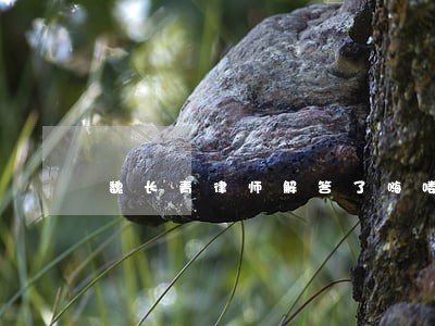 魏长青律师解答了嗨喽 魏长青律师解答了嗨喽