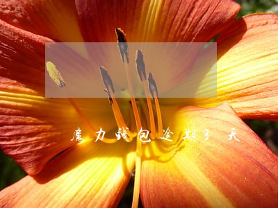 魔力钱包逾期3天 魔力钱包逾期3天