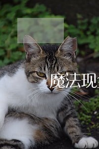 魔法现金网贷逾期 魔法现金网贷逾期