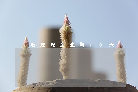 魔法现金逾期10天 魔法现金逾期10天