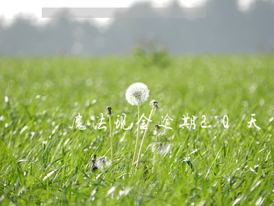 魔法现金逾期20天 魔法现金逾期20天