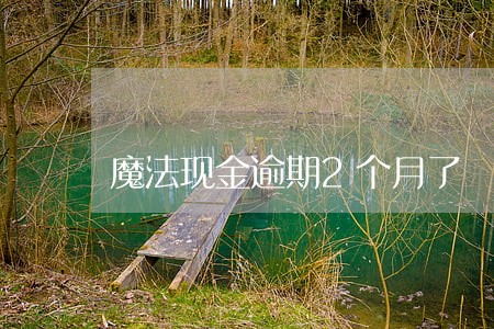 魔法现金逾期2个月了