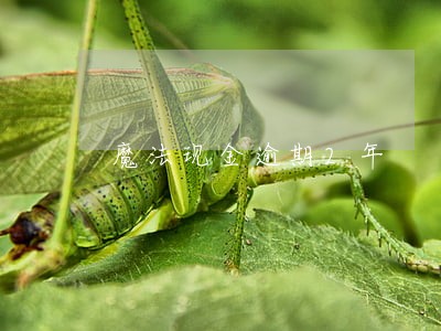 魔法现金逾期2年 魔法现金逾期2年