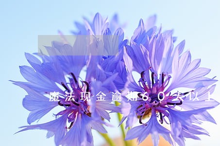 魔法现金逾期60天以上 魔法现金逾期60天以上
